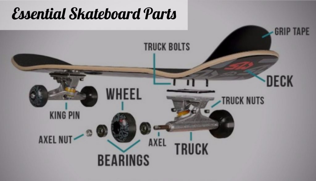 Essential-skateboard-parts
