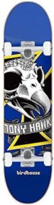 Skateboard Complete Tony Hawk Oversized Skull